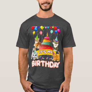 It's My Birthday Cat and Kitten Party Day Girl's a T-Shirt