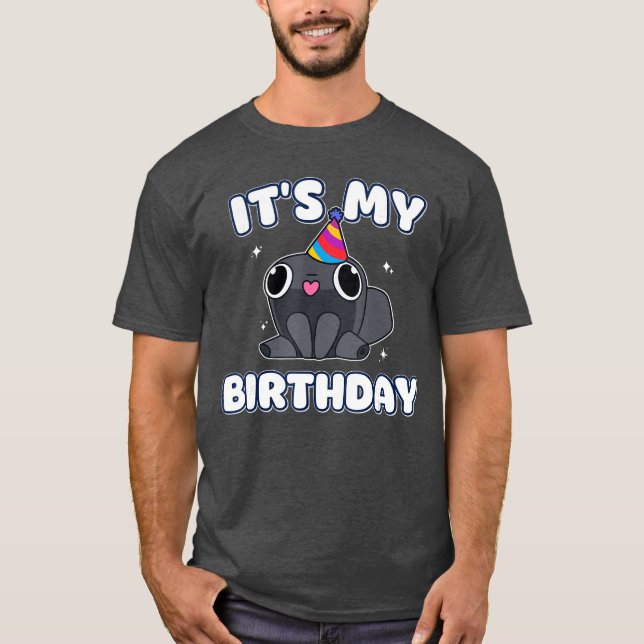 Its My Birthday Minimalist Funny dandys Humour Dec T-Shirt (Front)