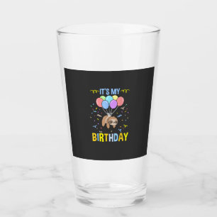 Its My Birthday Sloth T-Shirt Glass