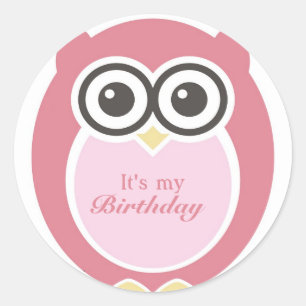 It's My Birthday Stickers Cute Pink Owl Cartoon