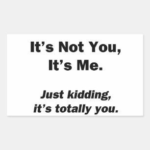 It's Not You, It's Me Rectangular Sticker