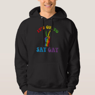 Its Ok To Say Gay  Florida Its Ok To Say Gay Lgbt  Hoodie
