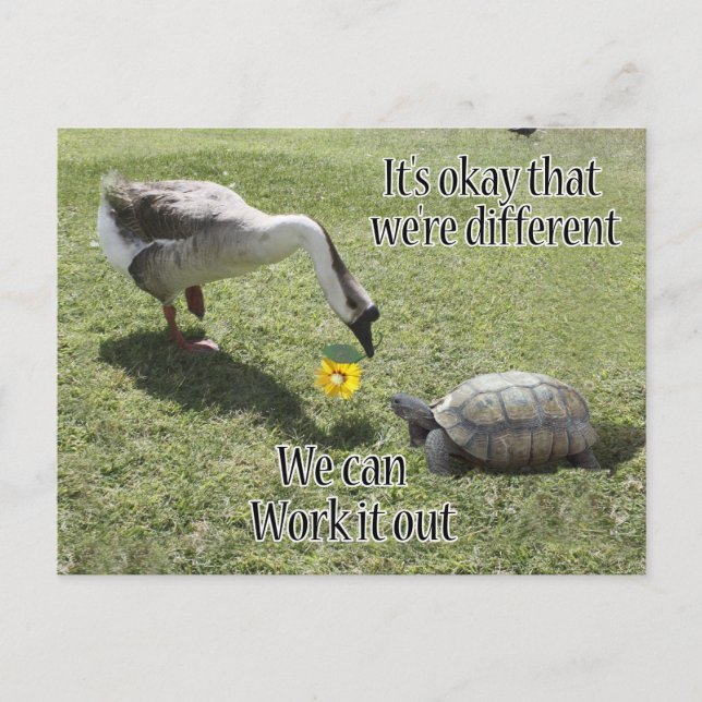 It's okay that we're Different, We Can Work It Out Postcard (Front)