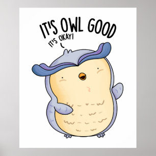 It's Owl Good Funny Bird Pun  Poster