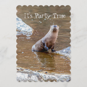It's Party Time, Otter, Invitation,Birthday, Invitation