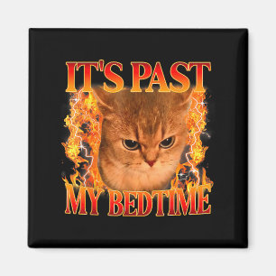 It's Past My Bedtime Funny Cat Meme Animals Humor Magnet