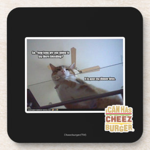 It's past my dinner time coaster