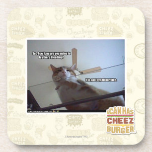 It's past my dinner time coaster