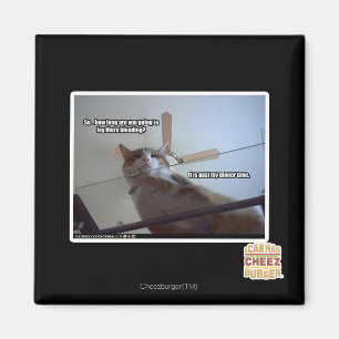 It's past my dinner time magnet