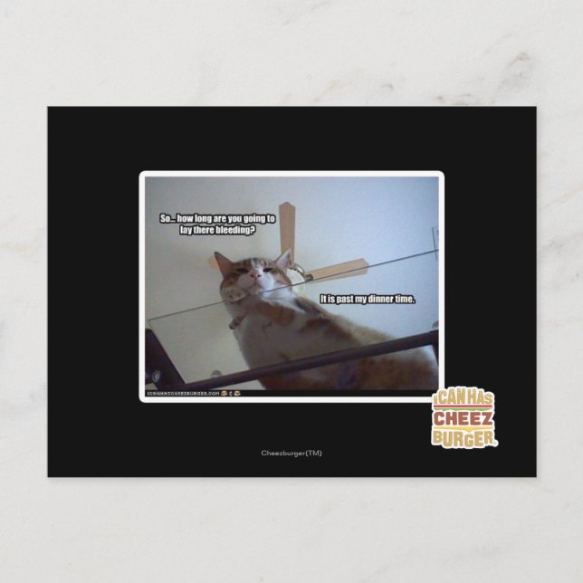 It's past my dinner time postcard (Front)