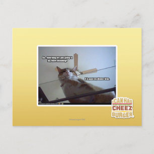 It's past my dinner time postcard