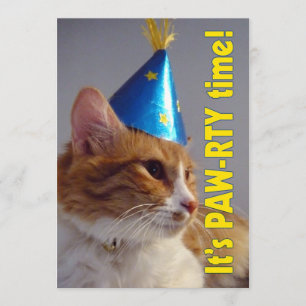 It's Paw-rty Time Cat - Birthday Invitation