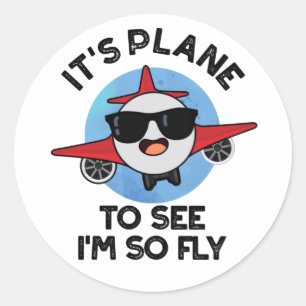 It's Plane To See I'm So Fly Funny Aeroplane Pun Classic Round Sticker