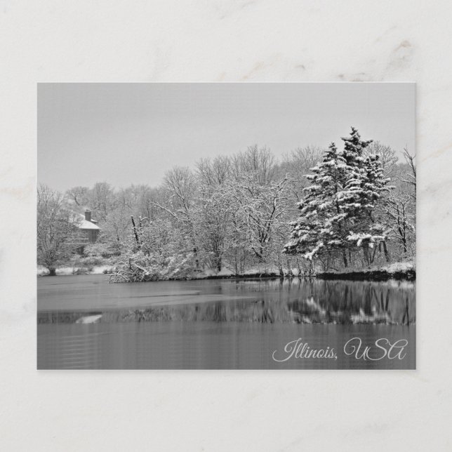 It's Snowing Over the Lake, Monochrome Illinois Postcard (Front)