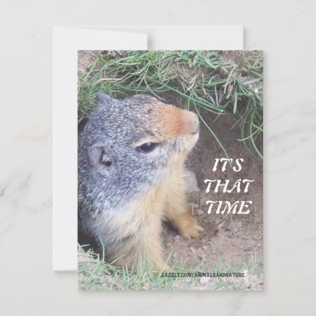 It's That Time Groundhog's day Invitation (Front)