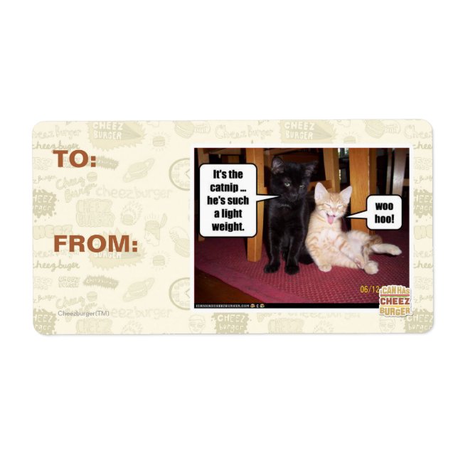 It's the catnip (Front)