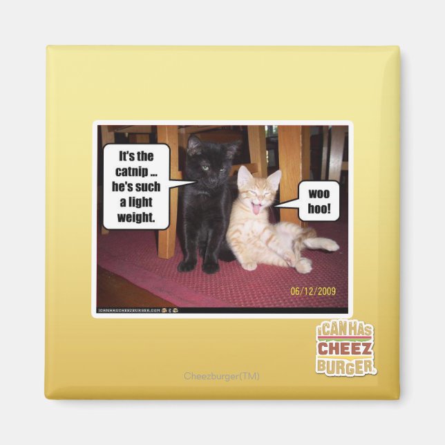It's the catnip magnet (Front)