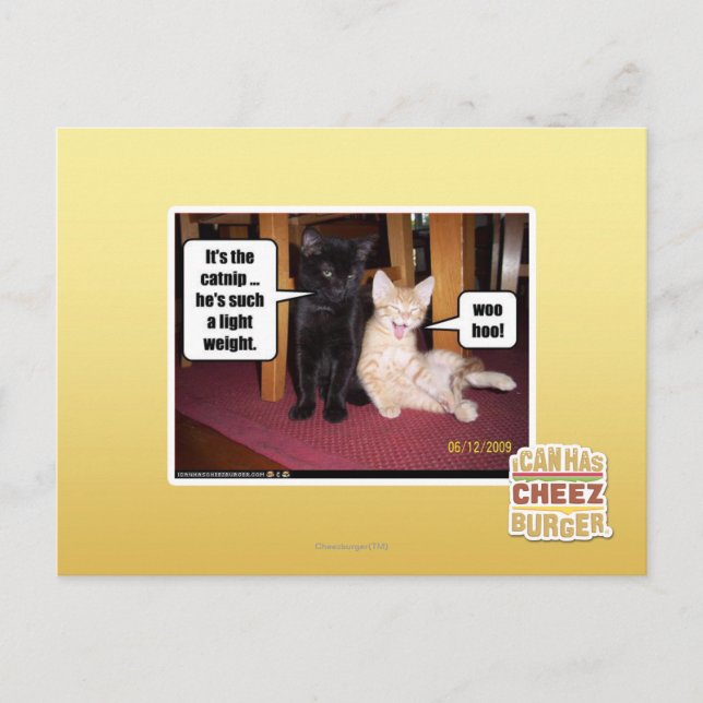 It's the catnip postcard (Front)