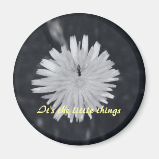It's the Little Things Magnet