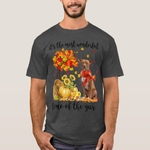 Its The Most Wonderful Autumn Time Pitbull Pumpkin T-Shirt