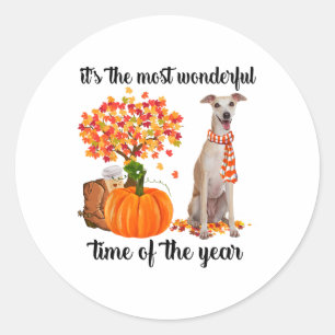 It's The Most Wonderful Time Of The Year Greyhound Classic Round Sticker