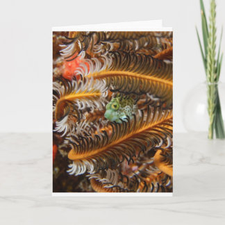 It's the Small Things... Card