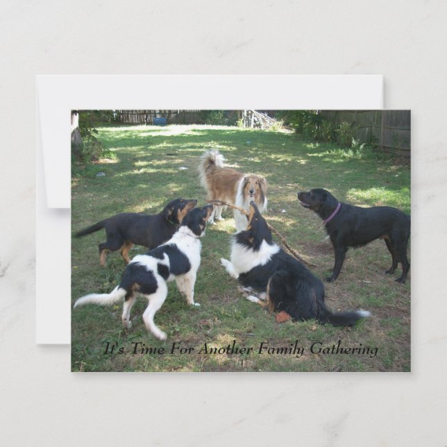 It's Time For Another Family Gathering Invitation (Front)