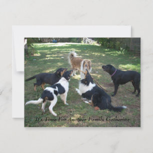 It's Time For Another Family Gathering Invitation