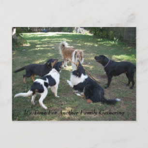 It's Time For Another Family Gathering Postcard
