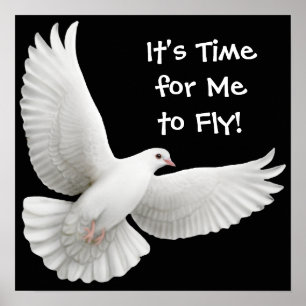 Its Time for Me to Fly Dove Poster