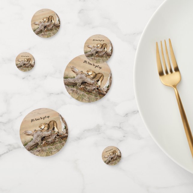 It's time to get up Lion photo with text Confetti (Group)