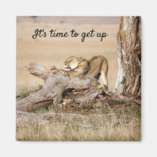 It's time to get up Lion photo with text Magnet
