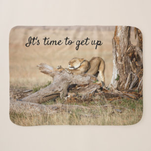 It's time to get up Lion photo with text Sherpa Blanket