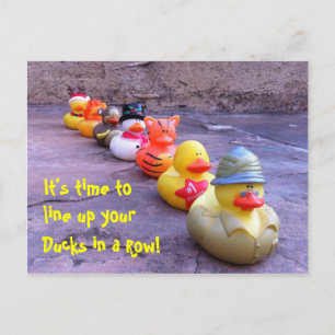 It's time to line up your Ducks in a Row Postcard