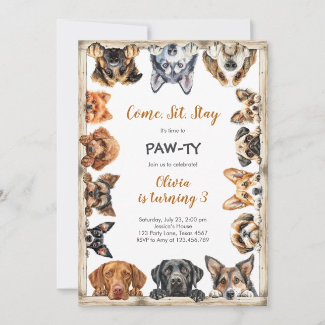 It's Time to Paw-ty Party Animals Kids Birthday Invitation (Front)