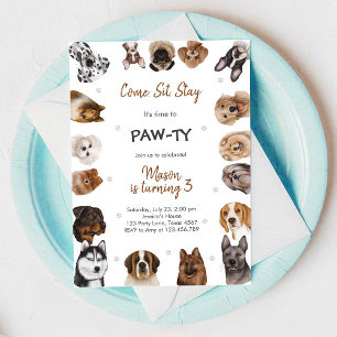 It's Time to Paw-ty Party Animals Kids Birthday Invitation