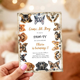 It's Time to Paw-ty Party Animals Kids Birthday Invitation