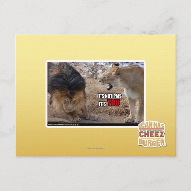 It's YOU! Postcard (Front)