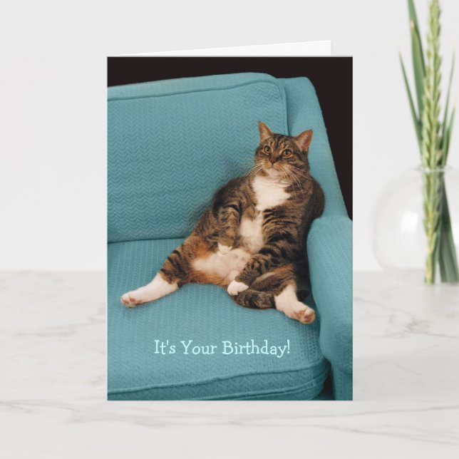 It's Your Birthday Big Fat Tabby Cat Greeting Card (Front)