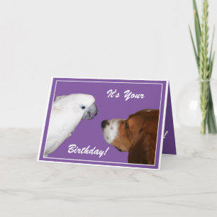 It's Your Birthday Card