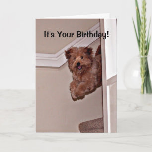 It's Your Birthday Excited Happy Dog Pet Card