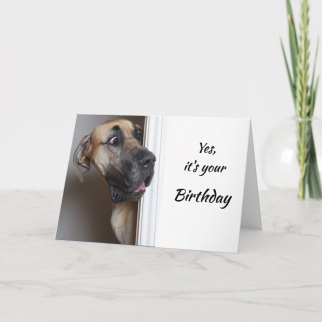 It's Your Birthday Fun Great Dane Dog Humour Card (Front)