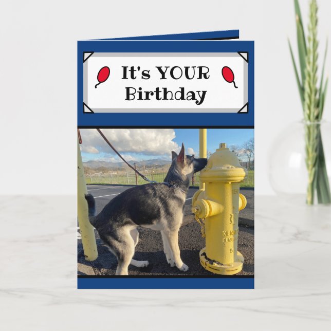 It's Your Birthday Funny Puppy Card (Front)