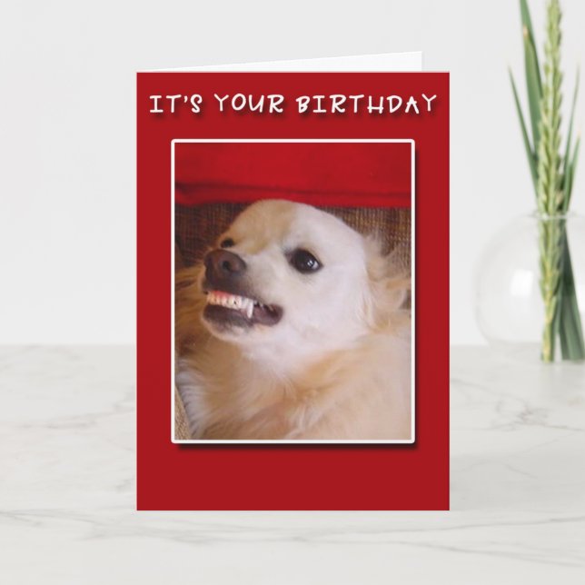 It's Your Birthday! Grinning Dog Birthday Card (Front)