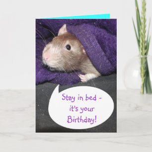 It's your birthday rat card