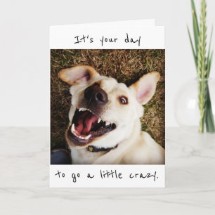 It's Your Day to Go A Little Crazy Birthday Card