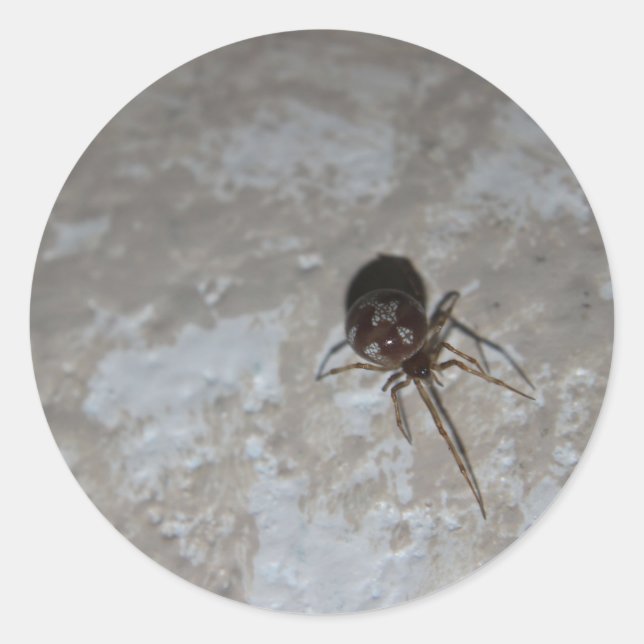 Itsy Bitsy Spider #3 Classic Round Sticker (Front)