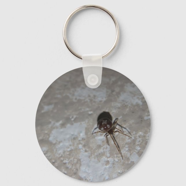 Itsy Bitsy Spider #3 Key Ring (Front)
