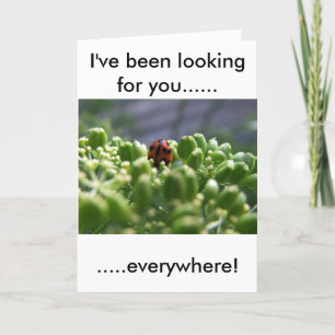 I've been looking for you card