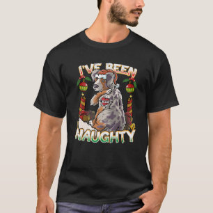 I've Been Naughty Australian Shepherd Dog Santa Cl T-Shirt